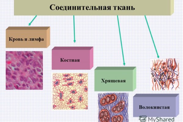 Как зайти на кракен в тор браузере