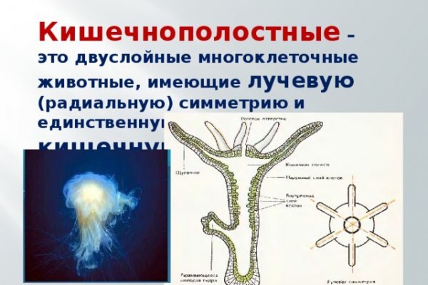 Почему сегодня не работает площадка кракен